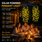 🌿 Luci Solari Edera con Foglie Artificiali 💡✨ - 8 Modalità | Impermeabili | Ricarica Solare | Filo Flessibile | Per Giardino, Balcone & Parete | 50% DI SCONTO