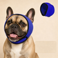 🐶 Fascia Copri-Orecchie per Cani | Neoprene morbido e regolabile | Per rumori, bagno e toelettatura | Taglie S–L🎧