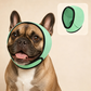 🐶 Fascia Copri-Orecchie per Cani | Neoprene morbido e regolabile | Per rumori, bagno e toelettatura | Taglie S–L🎧