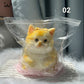 Giocattolo Antistress Carino e Morbido Squishy a Forma di Gatto