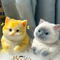 Giocattolo Antistress Carino e Morbido Squishy a Forma di Gatto