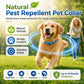 🎉 OFFERTA LAMPO 50% DI SCONTO 🐶🐱 – Collare antipulci e zecche a base vegetale 🌿 Protezione fino a 8 mesi, oli a rilascio lento, resistente all'acqua 💦 Respinge zanzare e larve, comodo e sicuro da indossare tutti i giorni 🐕