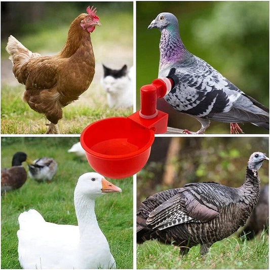 🔥🔥Regalo per gli amanti dei polli 44% OFF--🔥Automatico per polli tazza d'acqua per uccell