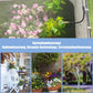 🌿 Sistema di Irrigazione a Nebbia per Giardino – Kit Fai-da-Te con Ugelli 360° 💧 per Terrazzo, Balcone e Serra | Risparmio d'Acqua Garantito ✅