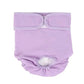 🐶 Pannolini Lavabili per Cani Maschi e Femmine 🐾 Mutande Fisiologiche e Fasce Igieniche per Calore e Incontinenza | Chiusura a Strappo Regolabile Traspirante ed Antiperdita ✨