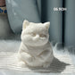 Giocattolo Antistress Carino e Morbido Squishy a Forma di Gatto
