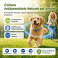 🎉 OFFERTA LAMPO 50% DI SCONTO 🐶🐱 – Collare antipulci e zecche a base vegetale 🌿 Protezione fino a 8 mesi, oli a rilascio lento, resistente all'acqua 💦 Respinge zanzare e larve, comodo e sicuro da indossare tutti i giorni 🐕