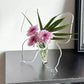 Vaso Trasparente a Forma di Farfalla 🦋🌷 | Espone Fiori e Verde con un Tocco Scultoreo | Decorazione Leggera per Casa ed Eventi