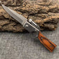 🔪【Lega di tungsteno】Coltello pieghevole da esterno - Strumento di sopravvivenza da campeggio in acciaio inossidabile 🏕️🔥