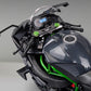 🔥Sconto di Capodanno🔥Modello di motocicletta in lega H2R/H2 1:9