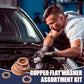 ⚙️ Set di Rondelle Piatte in Rame | 100 o 200 Pezzi in 7 o 9 Misure 📦 | Previene Allentamenti e Perdite 🔧 | Superficie Liscia e Precisa ✨ | con Scatola Organizzatrice 🧰
