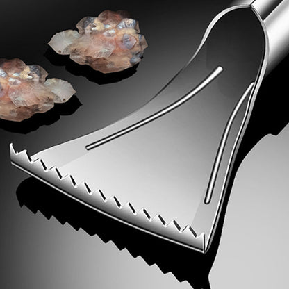 🔥OFFERTA SPECIALE🔥Squamatore per pesci in acciaio inossidabile affilato