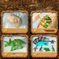 Kit di Scavo delle Uova di Dinosauro per Bambini
