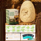 Kit di Scavo delle Uova di Dinosauro per Bambini