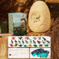 Kit di Scavo delle Uova di Dinosauro per Bambini