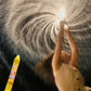 Giocattolo Spruzzatore d'Acqua con Design a Fuochi d'Artificio