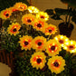🌻 Luci Solari a Forma di Girasole per Giardino ✨☀️ - IP65 Impermeabili | 8-12h Autonomia | Ricarica Solare | Petali Realistici | Facile Installazione | 50% DI SCONTO
