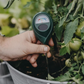 🌱 Misuratore di Umidità del Suolo per Piante | Lettura Istantanea con Scala a Colori 📊 | Previene Ristagni d'Acqua 💧 | Senza Batterie, per Interno ed Esterno 🪴