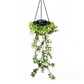 🌿 Luci Solari Edera con Foglie Artificiali 💡✨ - 8 Modalità | Impermeabili | Ricarica Solare | Filo Flessibile | Per Giardino, Balcone & Parete | 50% DI SCONTO