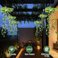 🌿 Luci Solari Edera con Foglie Artificiali 💡✨ - 8 Modalità | Impermeabili | Ricarica Solare | Filo Flessibile | Per Giardino, Balcone & Parete | 50% DI SCONTO