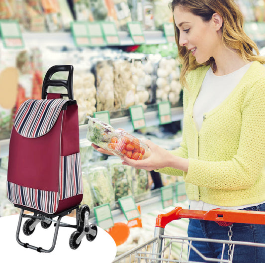 🛒 Carrello Pieghevole Portatile Saliscale – Grande Capacità | Ruote Resistenti per Scale & Marciapiedi | Compatto | Ideale per Spesa, Traslochi & Consegne 🏙️💪