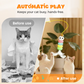 🐱✨ Giocattolo Automatico per Gatti con Canna da Pesca Retrattile – Movimento Irregolare, Stimola l’Istinto di Caccia, Ricarica USB – Rosa & Blu 🎾