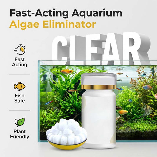 ✨ Acqua Cristallina Garantita! Pastiglie Anti-Alghe Veloci & Sicure 🛡️