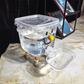 🐾✨ Distributore d’Acqua per Animali ad Alta Capacità – 3L & 5L, Sistema a Gravità Senza Elettricità, Serbatoio Trasparente, Facile da Pulire 💧🐶🐱