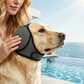 🐶 Fascia Copri-Orecchie per Cani | Neoprene morbido e regolabile | Per rumori, bagno e toelettatura | Taglie S–L🎧