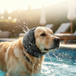 🐶 Fascia Copri-Orecchie per Cani | Neoprene morbido e regolabile | Per rumori, bagno e toelettatura | Taglie S–L🎧