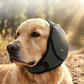 🐶 Fascia Copri-Orecchie per Cani | Neoprene morbido e regolabile | Per rumori, bagno e toelettatura | Taglie S–L🎧