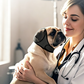 🐶 Fascia Copri-Orecchie per Cani | Neoprene morbido e regolabile | Per rumori, bagno e toelettatura | Taglie S–L🎧