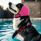 🐶 Fascia Copri-Orecchie per Cani | Neoprene morbido e regolabile | Per rumori, bagno e toelettatura | Taglie S–L🎧