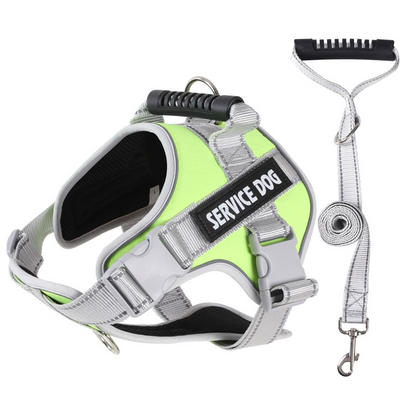 🐶 Pettorina Antitrazione per Cani | Mesh Traspirante 🌬️ | Cuciture Riflettenti 🌙 | Maniglia di Controllo ✋ | Chiusura Rapida e Regolabile XS-2XL 📏 | con Guinzaglio Imbottito 🐾