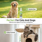🐶 Spray Dentale per Cani e Gatti Alito Fresco 🐱 | Elimina Placca e Tartaro, Protegge le Gengive Senza Spazzolino 🌿 | Formula Naturale con Aloe e Menta Senza Alcool, 100ml ✨