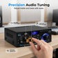 🎤🔊 Amplificatore Stereo Mini per Karaoke – Bluetooth | USB | SD | Radio FM | 2 Ingressi Microfono | EQ Bassi & Alti | Display LED & Telecomando | 12-240V, Spina EU/US | Ideale per Casa, Feste & Presentazioni 🎶✨