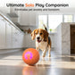🐾⚽ Pallina Intelligente Auto-Rimbalzante per Cani e Gatti – Materiale PC+TPE Sicuro, Ricarica USB Type-C, Ø52mm – Riduce Ansia e Noia, 2 Colori 🐶🐱