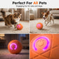 🐾⚽ Pallina Intelligente Auto-Rimbalzante per Cani e Gatti – Materiale PC+TPE Sicuro, Ricarica USB Type-C, Ø52mm – Riduce Ansia e Noia, 2 Colori 🐶🐱