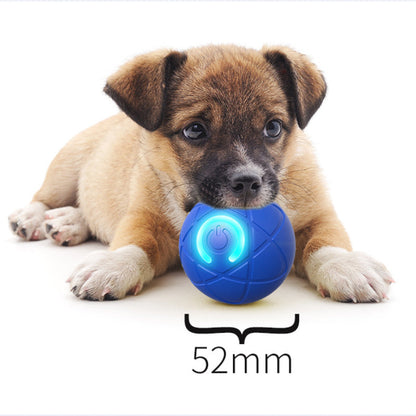 🐾⚽ Pallina Intelligente Auto-Rimbalzante per Cani e Gatti – Materiale PC+TPE Sicuro, Ricarica USB Type-C, Ø52mm – Riduce Ansia e Noia, 2 Colori 🐶🐱