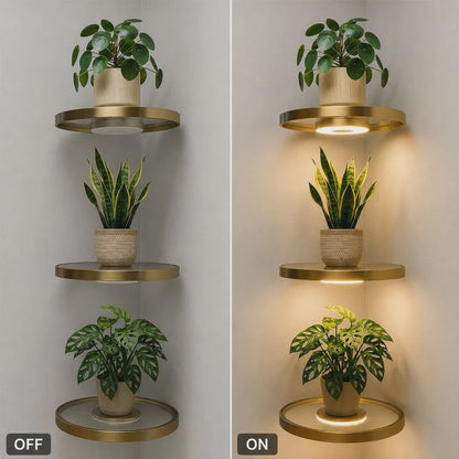 💡 Mensola Flottante LED per Piante ✨ - Illumina e Valorizza gli Spazi | Luce Calda | Design Moderno Salvaspazio | Finitura Dorata | Ricaricabile USB | Ideale per Pareti e Interni | 20 × 20 cm 🌿