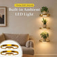 💡 Mensola Flottante LED per Piante ✨ - Illumina e Valorizza gli Spazi | Luce Calda | Design Moderno Salvaspazio | Finitura Dorata | Ricaricabile USB | Ideale per Pareti e Interni | 20 × 20 cm 🌿