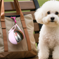 🐶Borraccia Pieghevole da Viaggio per Cani & Gatti💧 – Ciotola in Silicone Integrata, Acciaio Inox 304, Anti-Perdite, 287ml – Compatta & Portatile ✨