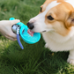 🐶Borraccia Pieghevole da Viaggio per Cani & Gatti💧 – Ciotola in Silicone Integrata, Acciaio Inox 304, Anti-Perdite, 287ml – Compatta & Portatile ✨
