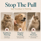 🐾 Spray Districante per Pelo di Cani e Gatti – Riduce Nodi & Staticità | Nebulizzazione Fine | Manto Morbido e Ordinato | 60 ml ✨