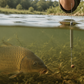 🎣 Amo da Pesca Galleggiante Anti-Incaglio 🐟⚓ - Acciaio ad Alto Carbonio | Galleggiamento Elevato | 3 Stili | Taglie 1-10 | Per Carpa & Tilapia | 50% DI SCONTO