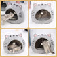 🐱 Cuccia e Tenda 2 in 1 per Gatti e Cani ⛺️✨ - Pallina Interattiva | Design a Cupola Anti-Ansia | Tessuto Premium | 3 Taglie | Arredo Casa | 50% DI SCONTO