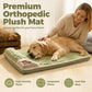 🛌✨ Cuccia Tappetino per Cani & Gatti in Peluche Premium🐶🐱 – Supporto Ortopedico, Velluto Ultra-Morbido, Bordo Rialzato Ergonomico – Taglie M–4XL, 3 Colori 🐾☁️
