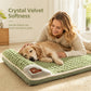 🛌✨ Cuccia Tappetino per Cani & Gatti in Peluche Premium🐶🐱 – Supporto Ortopedico, Velluto Ultra-Morbido, Bordo Rialzato Ergonomico – Taglie M–4XL, 3 Colori 🐾☁️