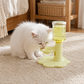 🐱 Fontanella per Gatti ad Altezza Regolabile | 💧 Ricarica Automatica a Gravità con Protezione Antischizzo | 🏠 Idratazione Sana per Gattini e Gatti Adulti | 📏 Capacità 650ml in 4 Colori
