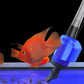 🐟💧 Cambia Acqua Elettrico per Acquario con Filtro Multistrato & Aspiratore – Alta Potenza 16W/20W, ABS Resistente, Facile da Usare – Pulizia Rapida & Efficiente ✨🐠